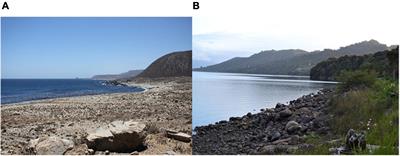 Artisanal Fisher Association Leaders’ Estimates of Poaching in Their Exclusive Access Management Areas